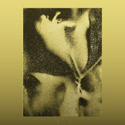 1983 (RSD)