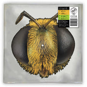 Big Fig Wasp (RSP)